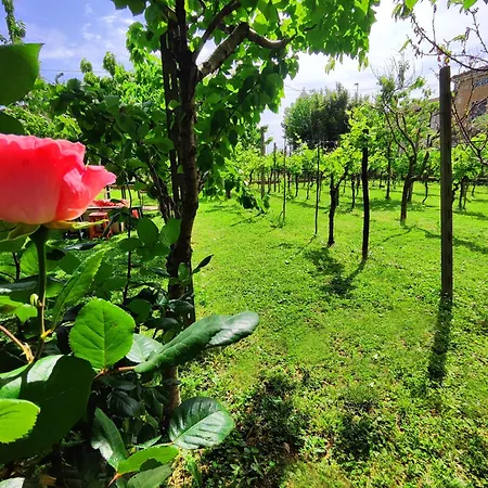 Bed & Breakfast Relais Antica Romelia Montichiari